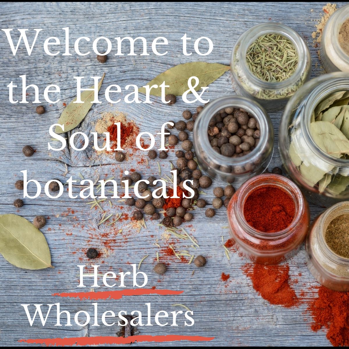 HERB WHOLESALERS, ROUGH CUT HERBS, TEA CUT HERBS, POWDERED HERBS